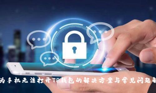 华为手机无法打开TP钱包的解决方案与常见问题解析