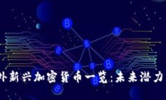 2024年国外新兴加密货币一览：未来潜力与投资机