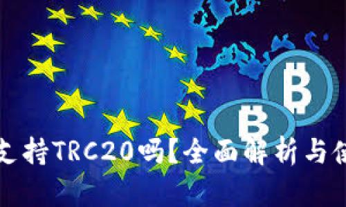 TP钱包支持TRC20吗？全面解析与使用指南