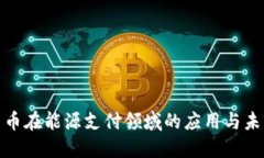 加密货币在能源支付领域的应用与未来趋势