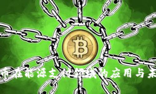 加密货币在能源支付领域的应用与未来趋势