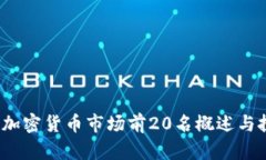 2023年加密货币市场前20名概述与投资分析