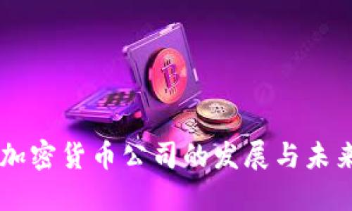 智利加密货币公司的发展与未来展望