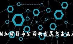 智利加密货币公司的发展与未来展望