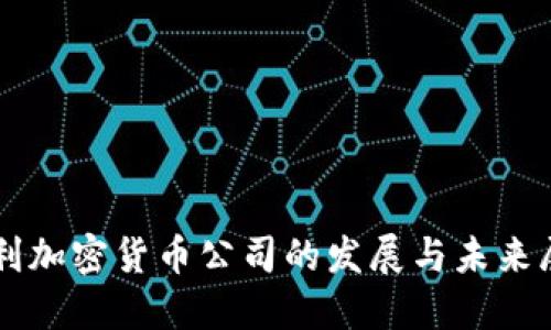 智利加密货币公司的发展与未来展望