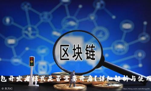 TP钱包开发者模式是否需要开启？详细解析与使用指南