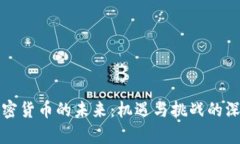 数字加密货币的未来：机遇与挑战的深度分析
