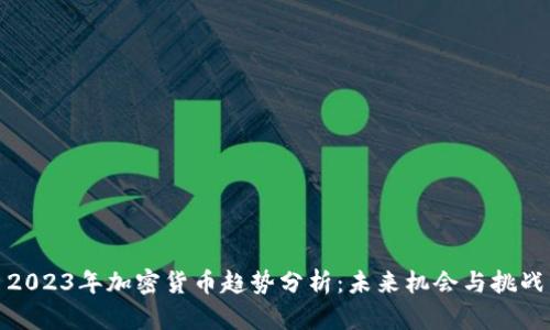 2023年加密货币趋势分析：未来机会与挑战