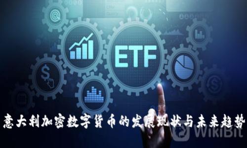 意大利加密数字货币的发展现状与未来趋势