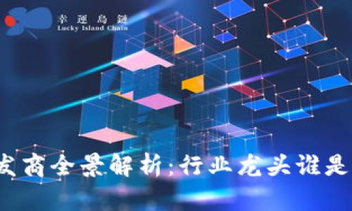 TP钱包开发商全景解析：行业龙头谁是背后推手？