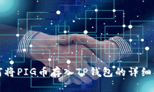 如何将PIG币存入TP钱包的详细指南