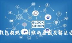 TP钱包提现不到账的原因及解决方案