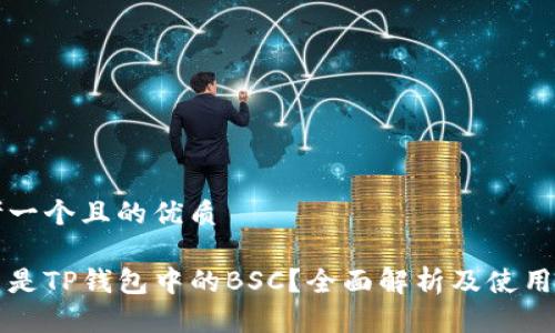 思考一个且的优质

什么是TP钱包中的BSC？全面解析及使用指南