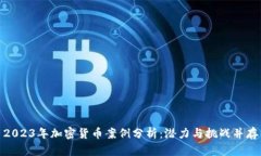2023年加密货币案例分析：潜力与挑战并存