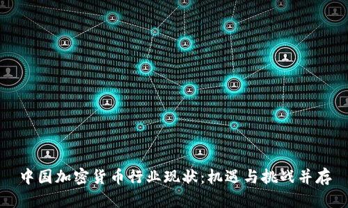 中国加密货币行业现状：机遇与挑战并存