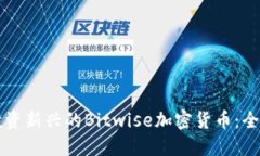 怎么投资新兴的Bitwise加密货币：全面指南