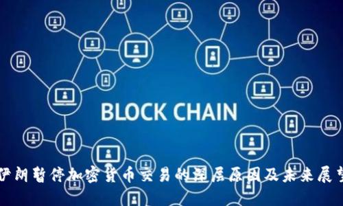 伊朗暂停加密货币交易的深层原因及未来展望