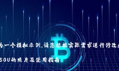 注意： 以下内容仅为一个模拟示例，请您根据实