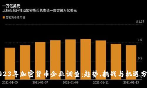 2023年加密货币企业调查：趋势、挑战与机遇分析