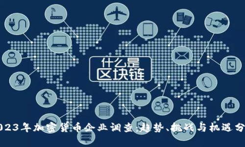 2023年加密货币企业调查：趋势、挑战与机遇分析