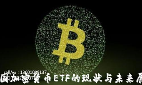 
中国加密货币ETF的现状与未来展望