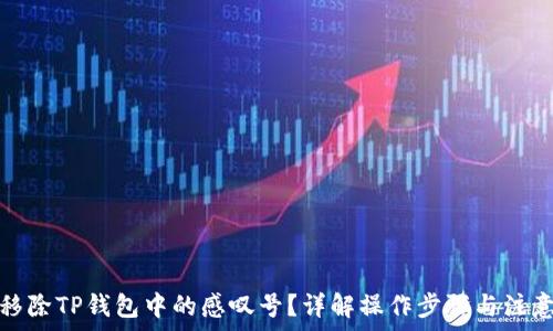   
如何移除TP钱包中的感叹号？详解操作步骤与注意事项