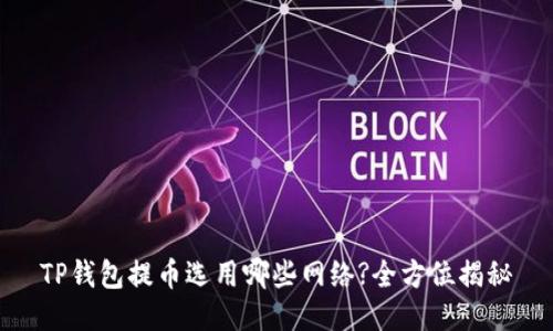 TP钱包提币选用哪些网络?全方位揭秘