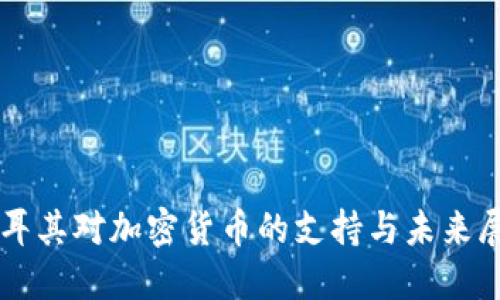 土耳其对加密货币的支持与未来展望