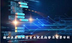 国内未来的加密货币发展趋势与前景分析