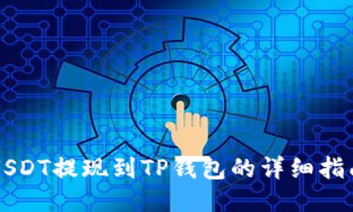 USDT提现到TP钱包的详细指南