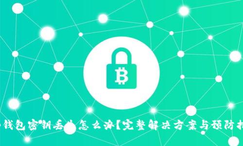 t p钱包密钥丢失怎么办？完整解决方案与预防措施