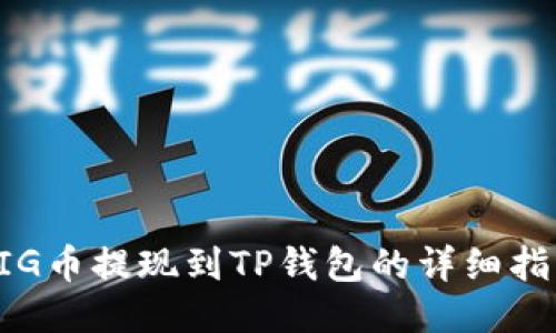 PIG币提现到TP钱包的详细指南
