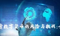 英国加密数字货币的风险与挑战：全面解析