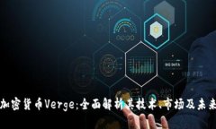 揭秘加密货币Verge：全面解析其技术、市场及未来