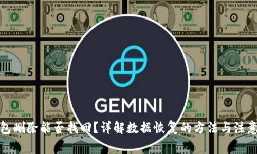 TP钱包删除能否找回？详解数据恢复的方法与注意事项