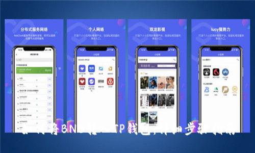 如何将BNB转入TP钱包：详细步骤指南
