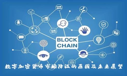 数字加密货币市场降温的原因及未来展望