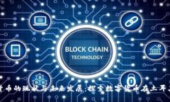 土耳其用加密货币的现状与未来发展：探索数字