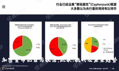 加密货币犯罪与执法：现状、挑战及未来趋势