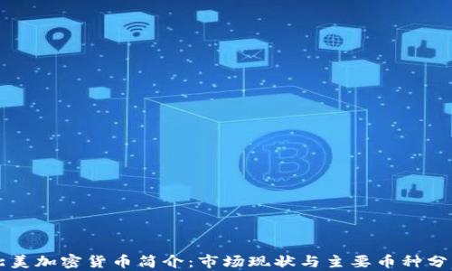 
北美加密货币简介：市场现状与主要币种分析