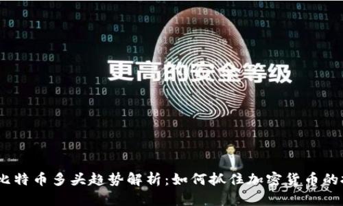 2023年比特币多头趋势解析：如何抓住加密货币的投资机会