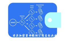 顶尖加密货币推销公司名称大全