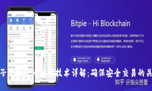 柚子数字货币加密技术详解：确保安全交易的关键