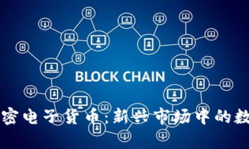 津巴布韦加密电子货币：新兴市场中的数字货币未来