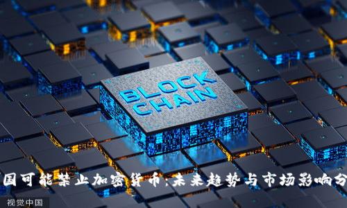 美国可能禁止加密货币：未来趋势与市场影响分析