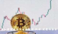 : 中国加密货币项目全面解析：现状、发展与未来