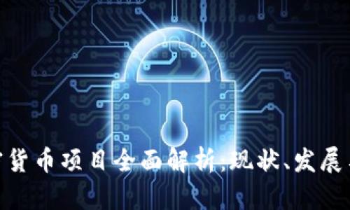 : 中国加密货币项目全面解析：现状、发展与未来机遇