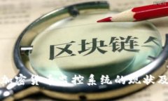 中国加密货币监控系统的现状及影响