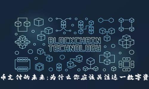加密货币支付的未来：为什么你应该关注这一数字资产趋势