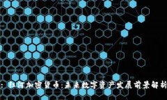 : 红河加密货币：未来数字资产发展前景解析